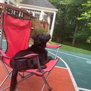 Meet your Posher, Jami